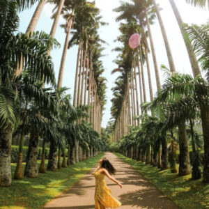 sri-lanka-in-3-days-a-short-escape